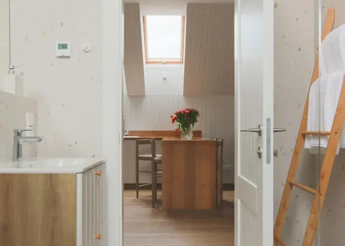 44 Apartment Druskininkai